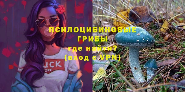 мяу мяу мука Заволжск
