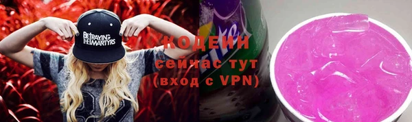 прущие грибы Елизово
