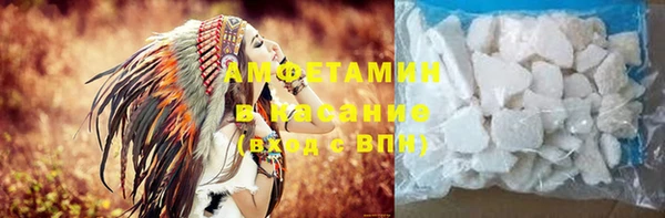 прущие грибы Елизово